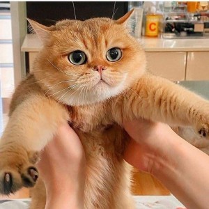 เบญจวรรณ อ่อนศิริ profile icon