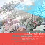 Ailyn Ditalo profile icon