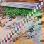 Ira Irwanti profile icon