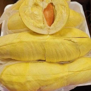 Noo Nid profile icon