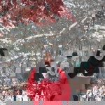 NAFIZAH MOHAMED profile icon