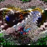 Namphung Chutchawun profile icon