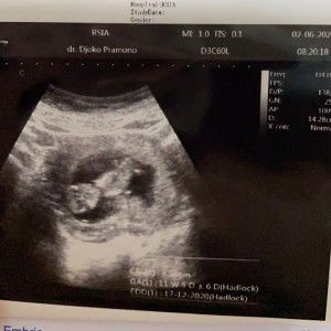 Devina Mega Oktaviani profile icon