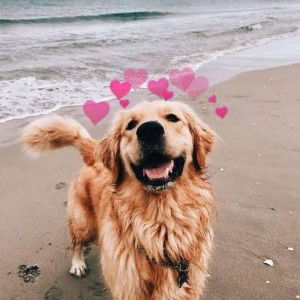 Kanokwan Charunesook profile icon