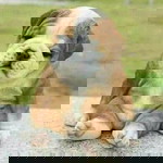 แค่ไหน ที่เรียก ว่ารัก profile icon