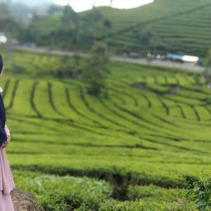 Siva Wahyuni profile icon