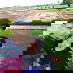 Lala Lathifah profile icon