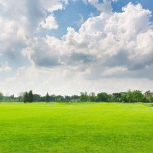 kartika husnul khotimah profile icon