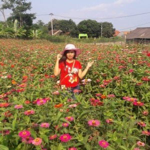 Intan Paramitha profile icon