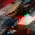 Arya Fadillah Nuryadi profile icon