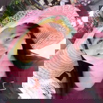 Jamaica Ducay profile icon