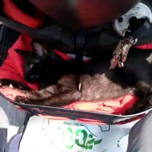 Nur Syahida profile icon