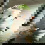 Tiffaniey Browine profile icon