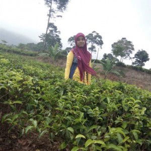 ani aja profile icon