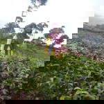 ani aja profile icon