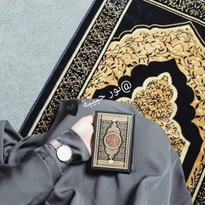 Noor Habibah profile icon