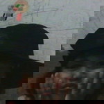 Ummiu Miu profile icon