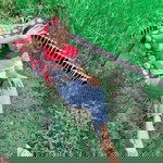 Plaifah Faithet profile icon