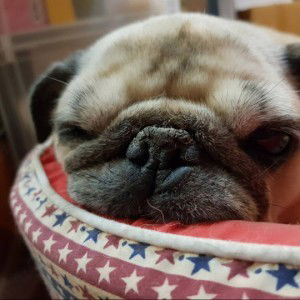 PUTSAYAPHORN profile icon