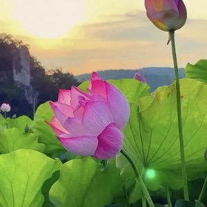 Hưng Lưu profile icon