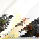 Putri Putri profile icon