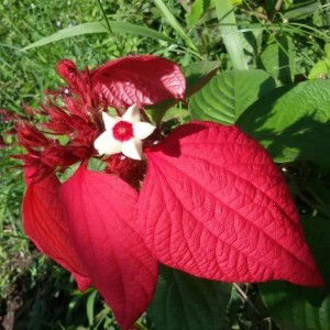 Heti Kristian profile icon