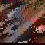 Saripah profile icon