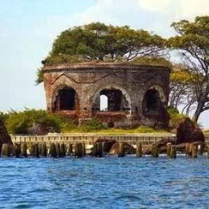 Ocha lia profile icon