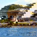 Ocha lia profile icon