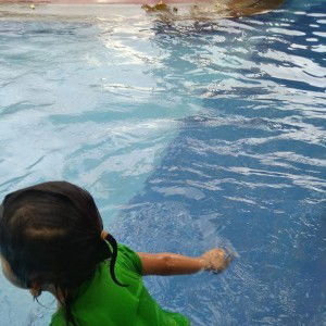 Nayla Putri profile icon