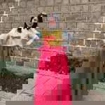 Michelle WX profile icon