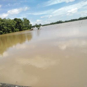 Amelia Anasthasya Susanti profile icon