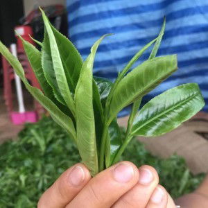 Cha Long Tea profile icon