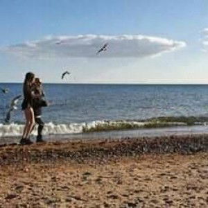 Lee Amarah Joy profile icon