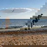 Lee Amarah Joy profile icon