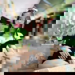 จามจุรี บุตรเกตุ profile icon