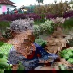 Atsa Fahrel Fahreza profile icon