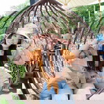 Nanthakan Rodthung profile icon