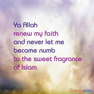 نورحيلي فنداء باتو profile icon