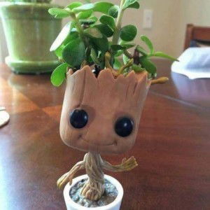 lily Eddin profile icon