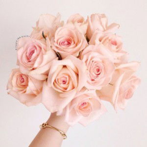 Nur Alia Mohd Nahar profile icon