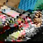 Heti Ollshop Nasa profile icon