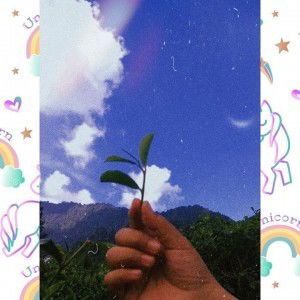 Wahyu Putri Herdiana profile icon