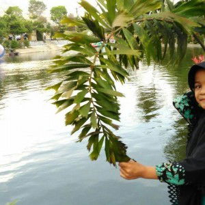 Yuli Galvan profile icon