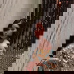 Hà Nguyễn profile icon