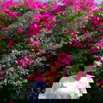 Michaella Ram profile icon