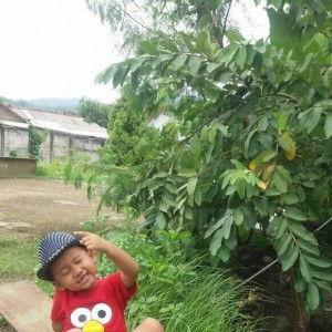 Pipih Renie profile icon