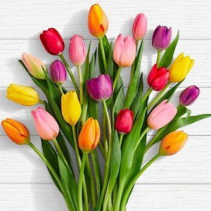 Dwi Adji Dilliani profile icon