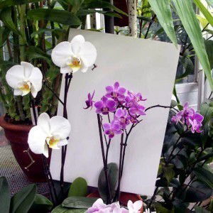 febry yana profile icon