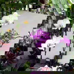 febry yana profile icon